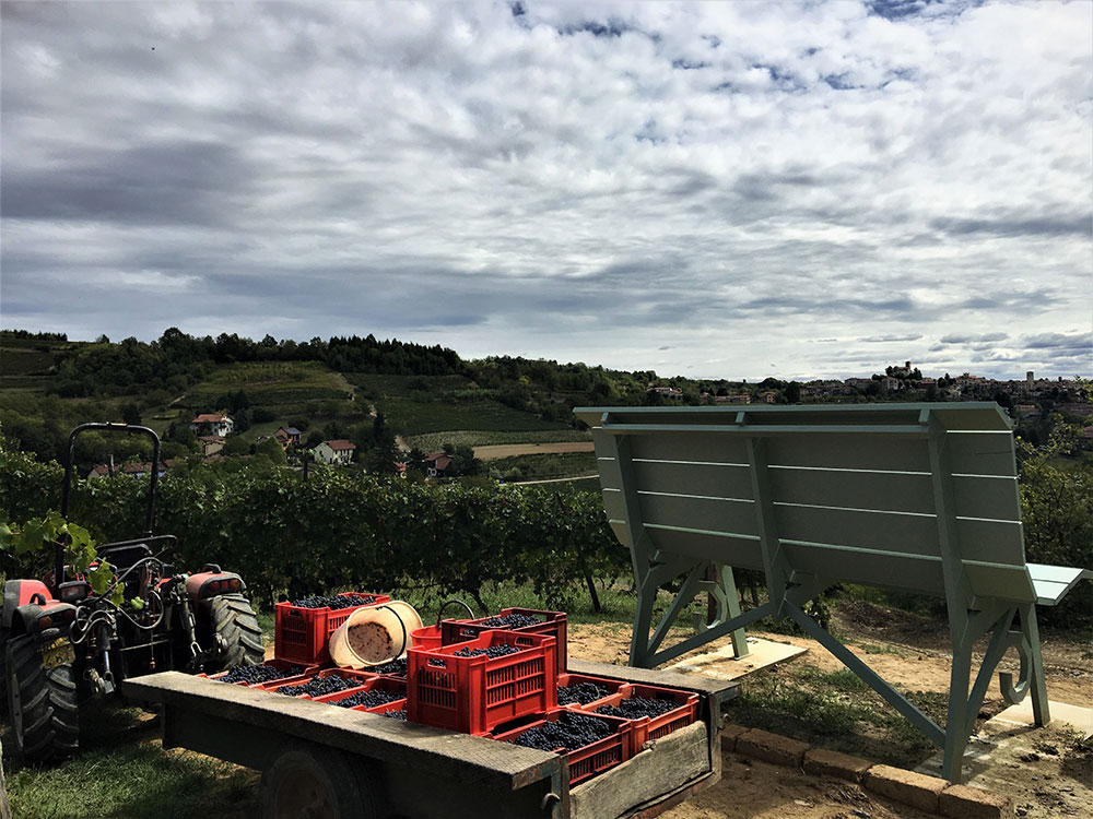 Big Bench Community Project - Le Grandi Panchine delle Langhe