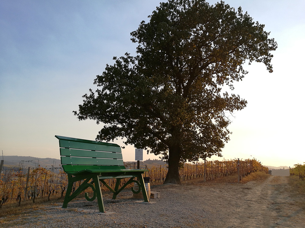 Big Bench Community Project - Le Grandi Panchine delle Langhe