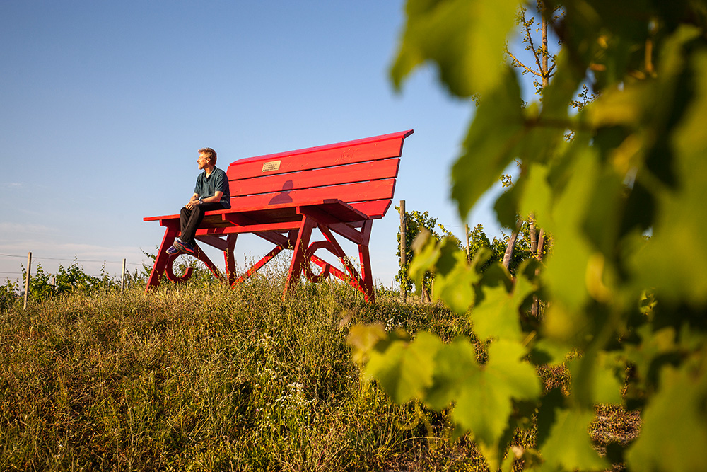 Big Bench Community Project - Le Grandi Panchine delle Langhe