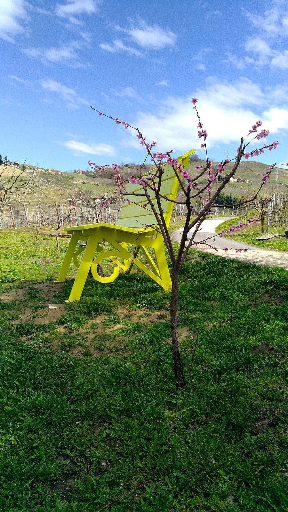 Big Bench Community Project - Le Grandi Panchine delle Langhe